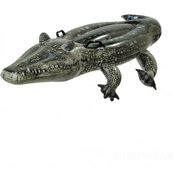 Игрушка для плавания INTEX 57551 «Аллигатор», 170х86 см, от 3 лет Игрушка для плавания INTEX 57551 «Аллигатор», 170х86 см, от 3 лет